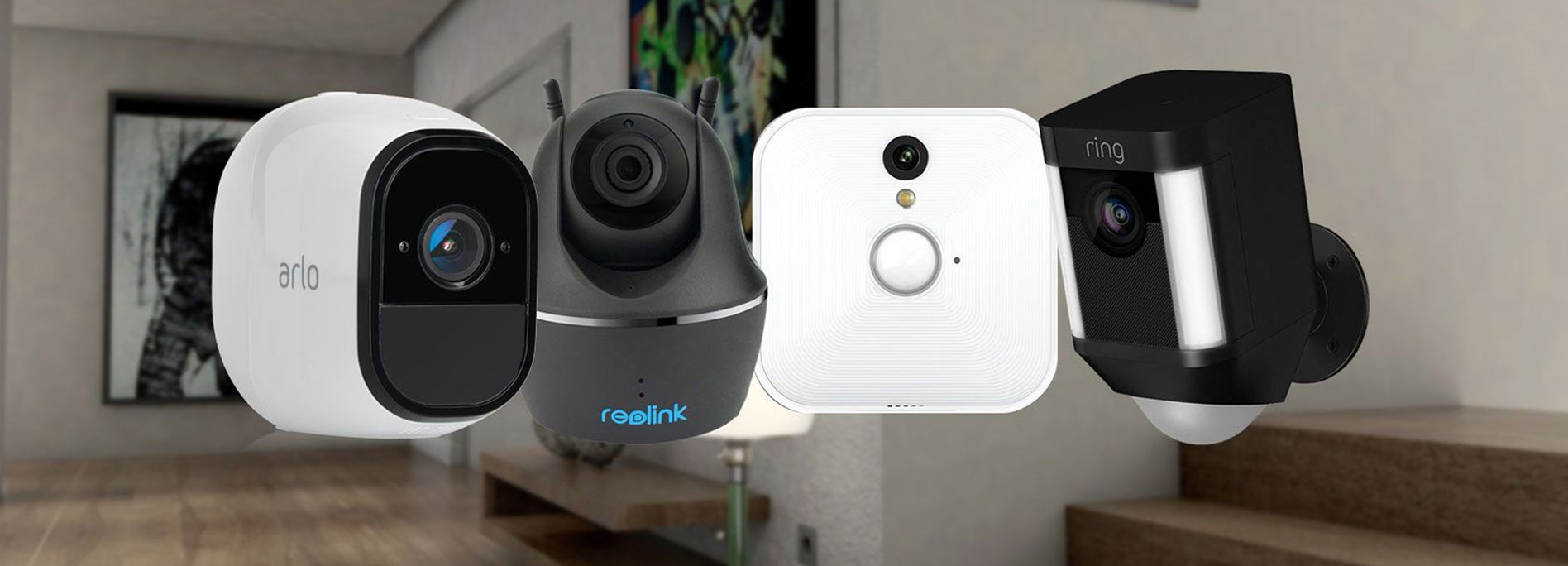 مزایای استفاده از دوربین مداربسته برای حیوانات خانگی